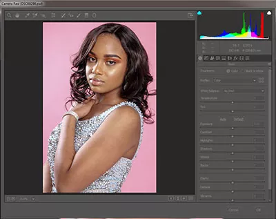 Portrait Picture Editing